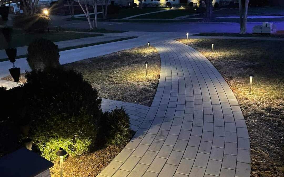 Professional Landscape Lighting