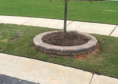 Hardscape Around Tree