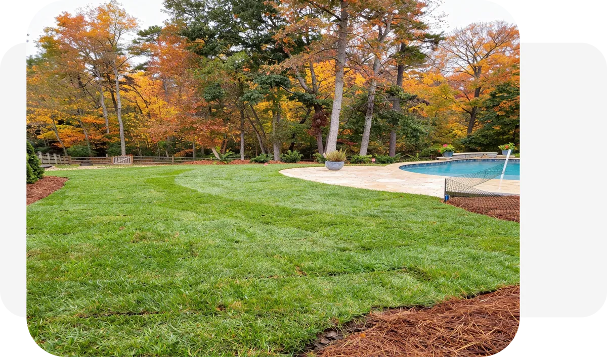 Transform Your Outdoor Space with Blue 2 Green Landscape Services in the Monroe Area, NC
